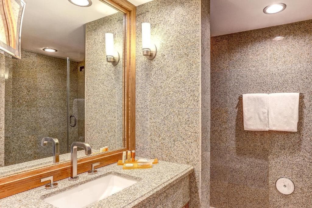 Avenue of the Arts Hotel, photo 3